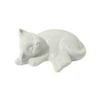 Urna per gatti con gatto sdraiato