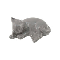 Urna per gatti con gatto sdraiato