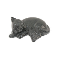 Urna per gatti con gatto sdraiato